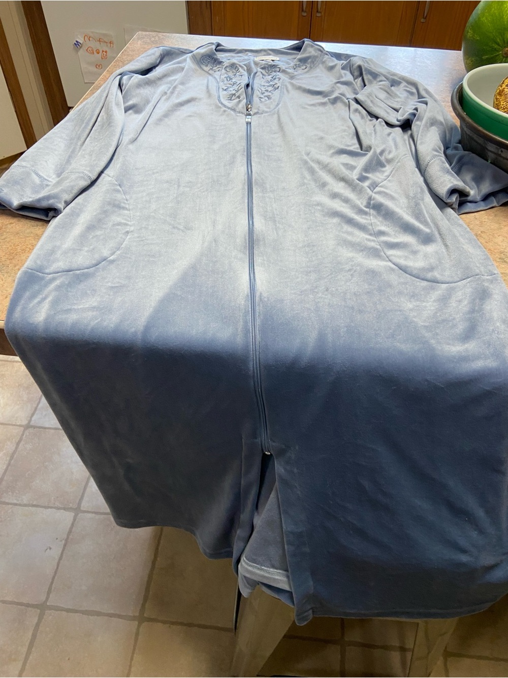 Miss Elaine Long Robe